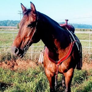 Meet your Posher, Cheryl